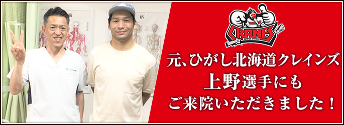 ひがし北海道クレインズ上野選手にも来院いただきました!